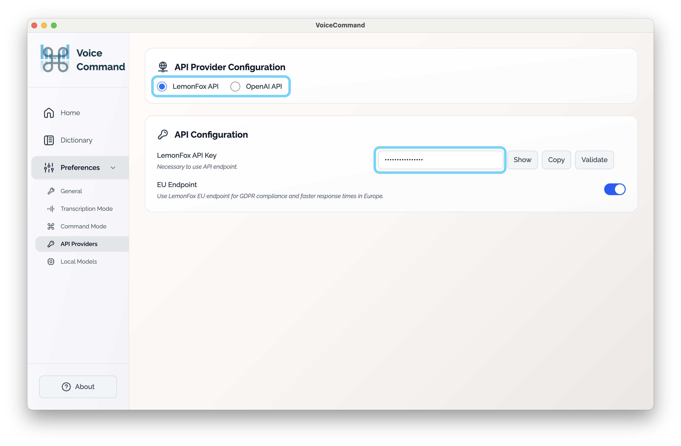 API provider setup in VoiceCommand preferences